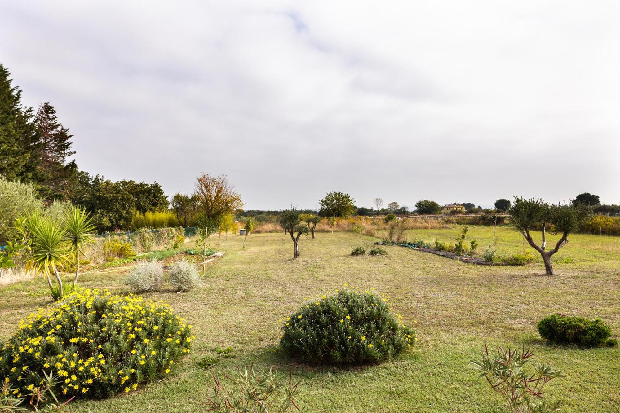 Il Noce Appartamento 2 Misano Adriatico Exterior foto